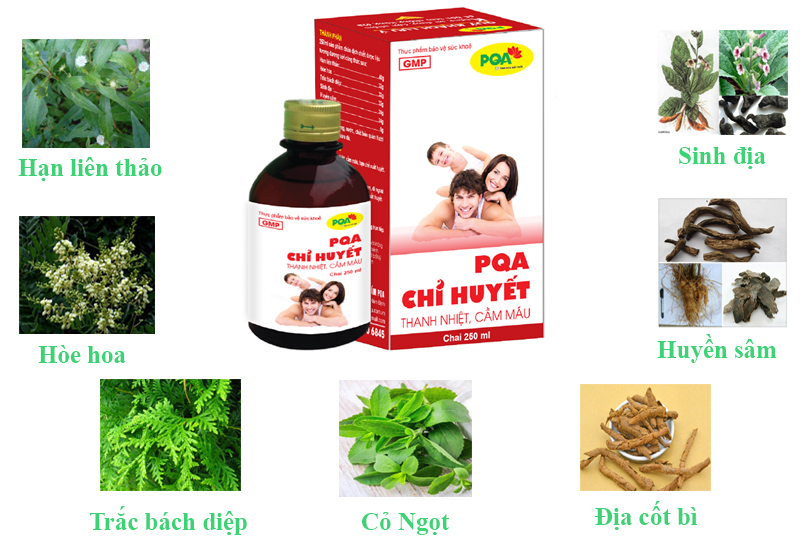 Bài thuốc PQA chỉ huyết