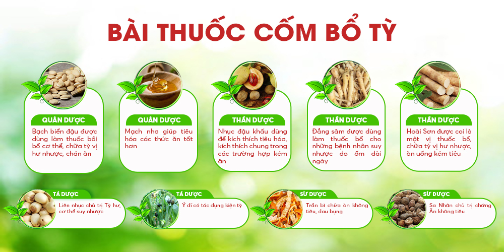 Bài thuốc cốm bổ tỳ