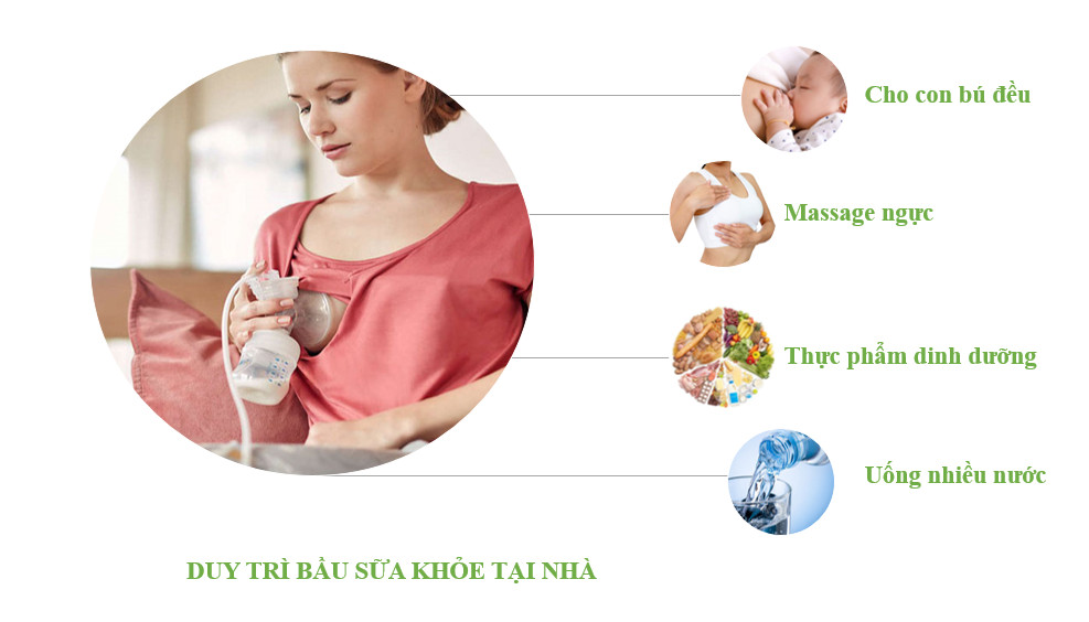Giải pháp tại nhà cho chị em bị tắc tia sữa