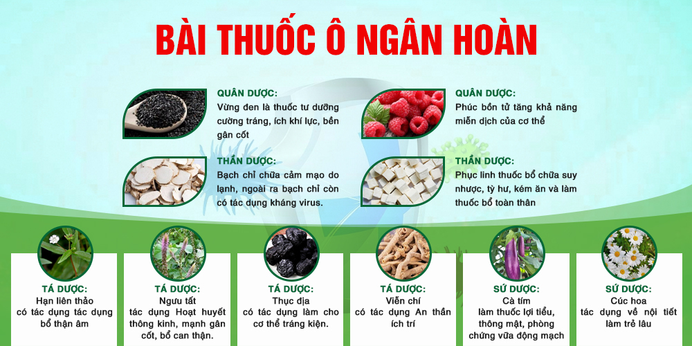 Ô ngân hoàn